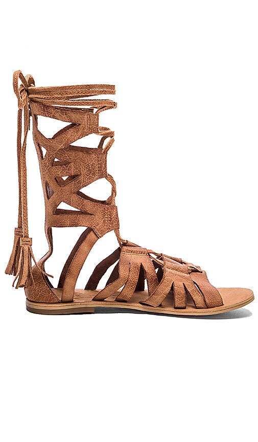 Free People Mesa Verde Gladiator Sandal 