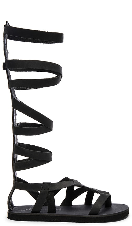 Black People Free Porn - Free People Cynder Gladiator Sandal in Black | REVOLVE