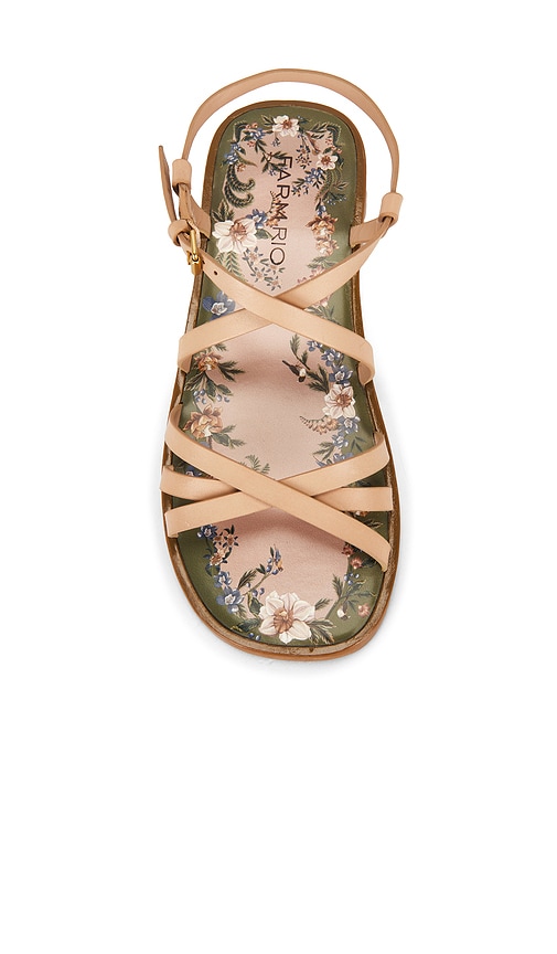 FARM Rio Spring Flat Sandal | Thumbnail 4