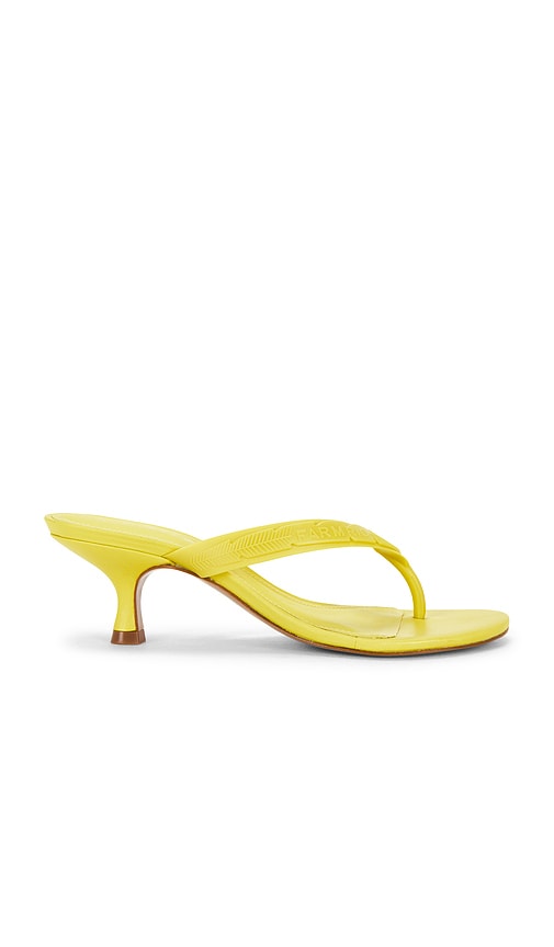 FARM Rio Rob Heel Sandal