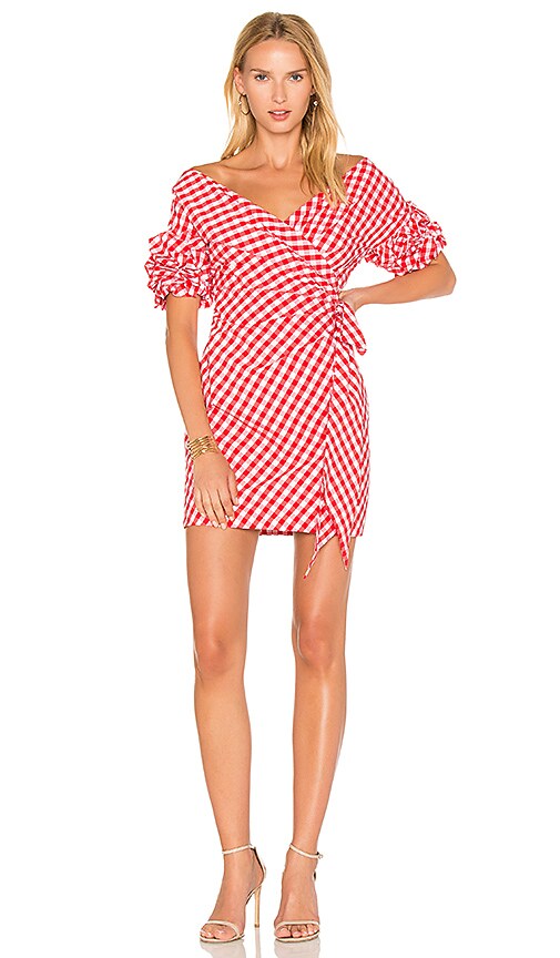 Fame and 2025 partners gingham dress