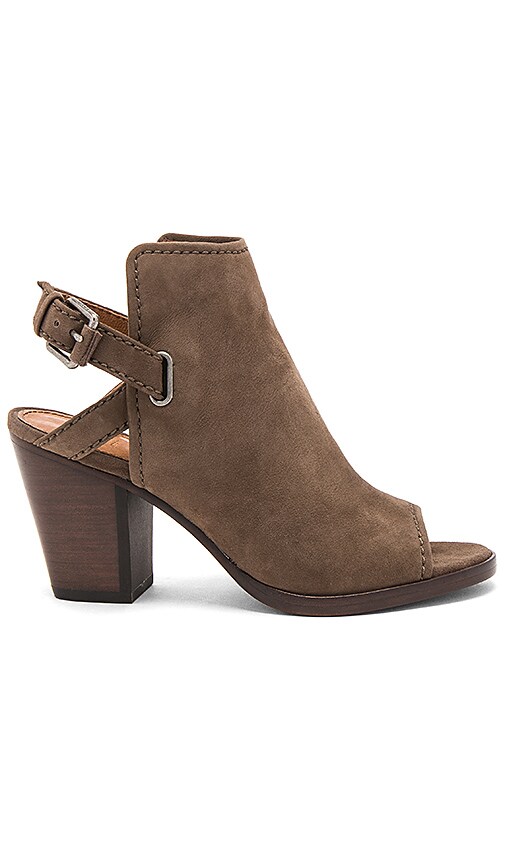 Frye Dani Shield Bootie in Dark Taupe