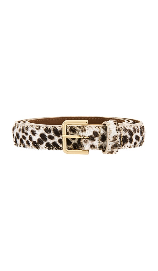  Flattered Barbara Belt In Chocolate. Size M. Also In L. 