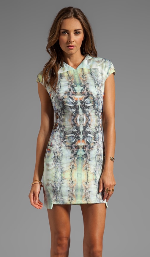 Evolution Cap Sleeve Dress