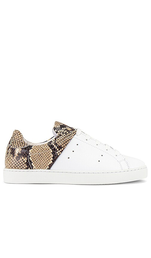 GREATS Devoe Sneaker in Snake & White