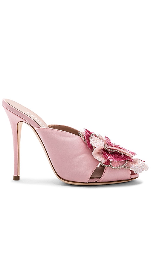 Clarence Mule