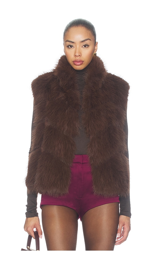 Generation Love Rosario Faux Fur Vest In Brown