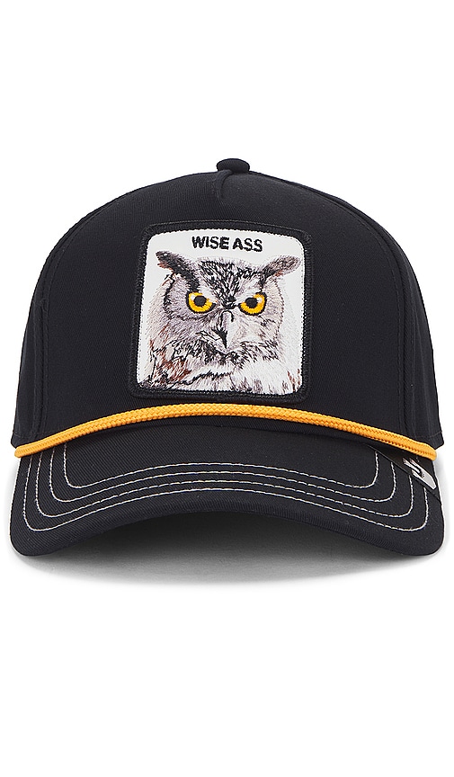 Shop Goorin Brothers Wise Owl Hat In Black