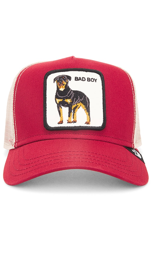 Shop Goorin Brothers The Baddest Boy Hat In 红色