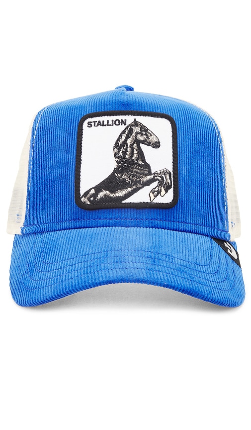 Shop Goorin Brothers Sly Stallion Hat In 蓝色