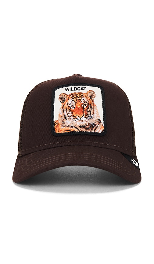 Shop Goorin Brothers The Wildcat Tiger Hat In Brown