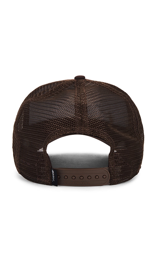 Shop Goorin Brothers The Wildcat Tiger Hat In Brown