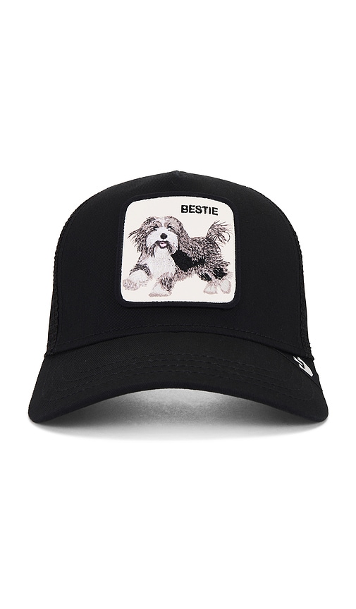 Shop Goorin Brothers The Bestie Dog Hat In 黑色