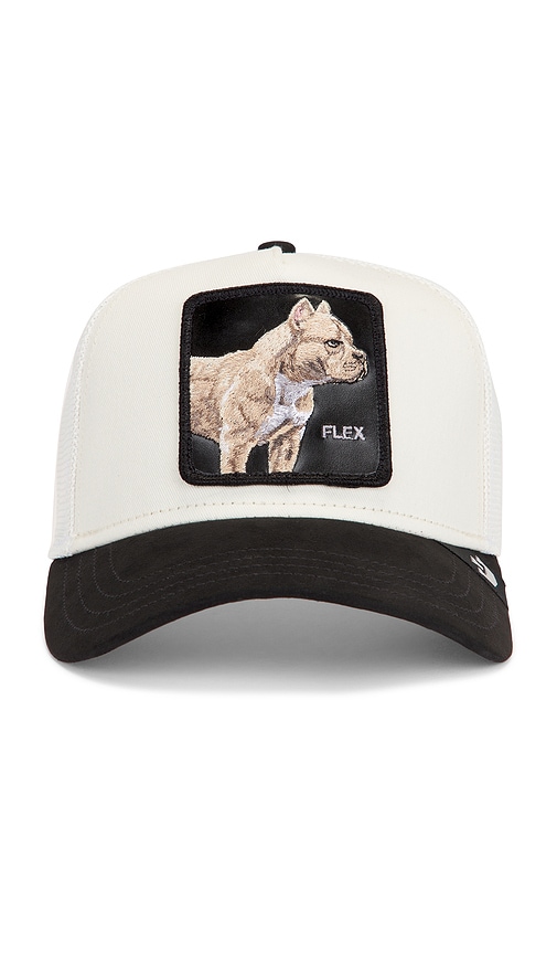 Goorin Brothers The Suede Pitbull Hat in Cream