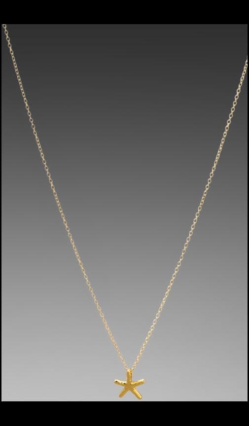 Starfish Necklace