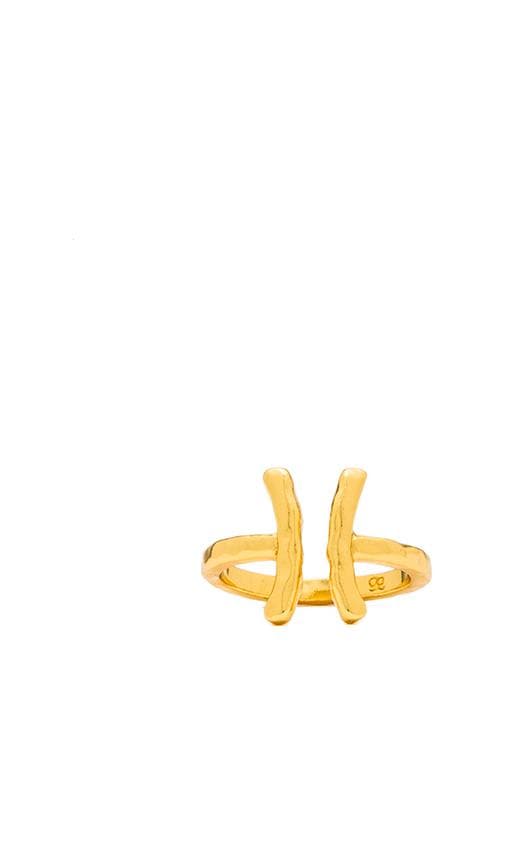 Paso Ring