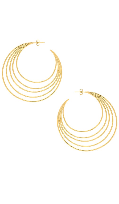 Casey Profile Hoops