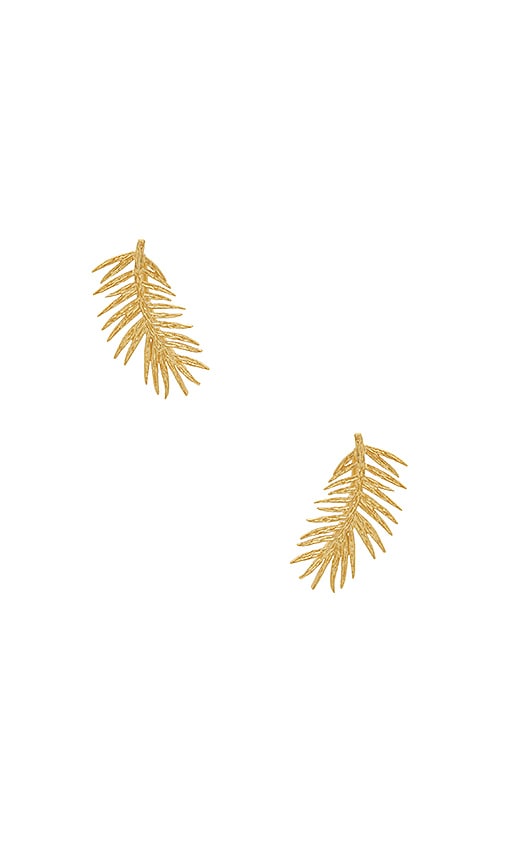Palm Ear Climbers