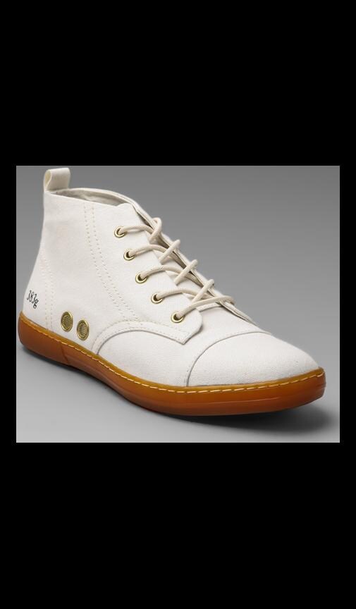 383G Cotton Canvas