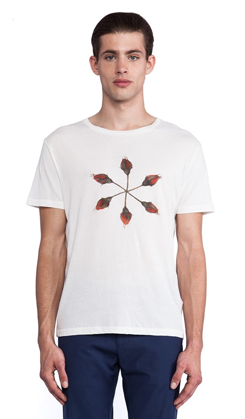 Rose Tee