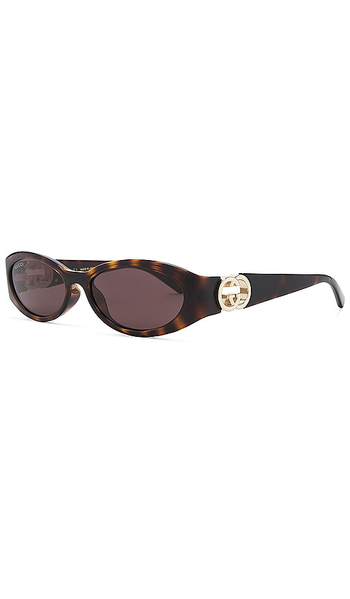 Shop Gucci Hailey Oval Sunglasses In Havana