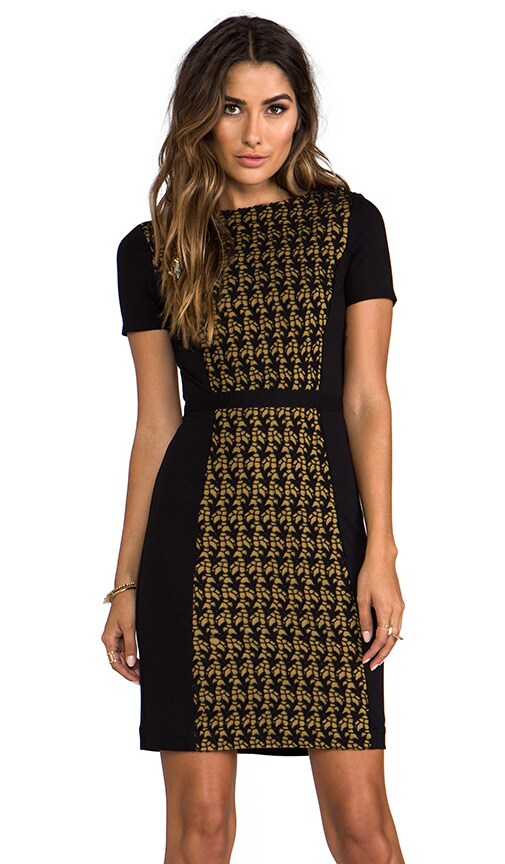 Scoop Neck Dress with Contrast Lace