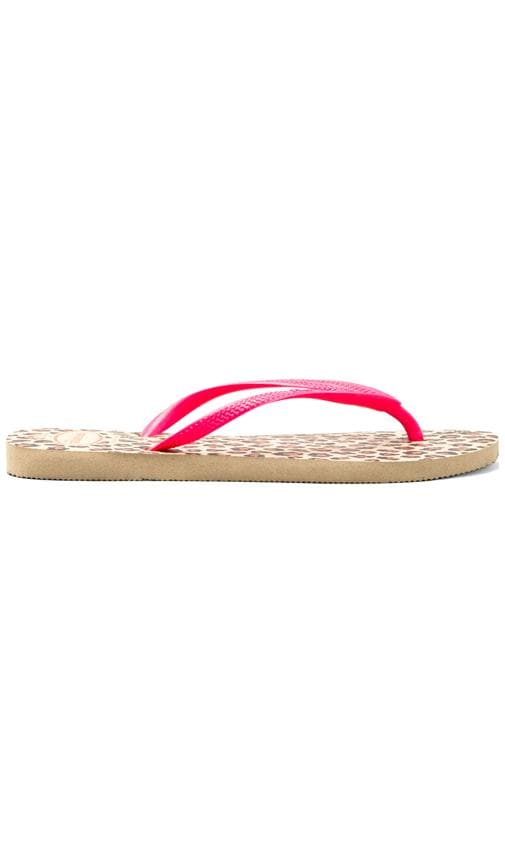 Slim Animals Fluo