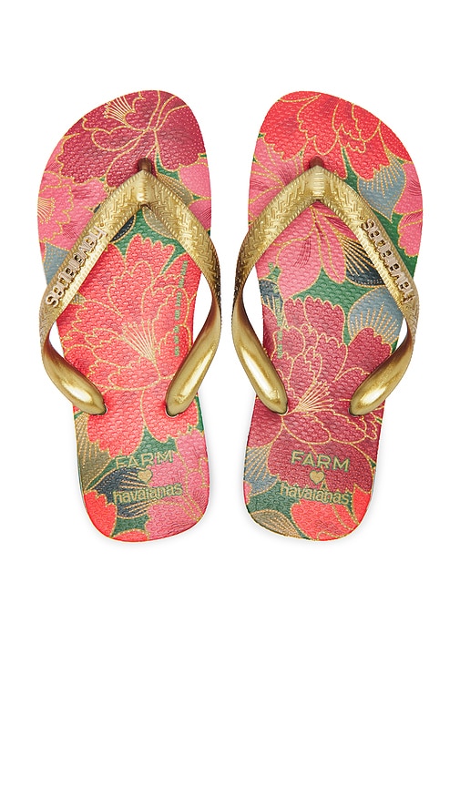 Havaianas Farm Rio Red Florals Sandal In Pantanal Green