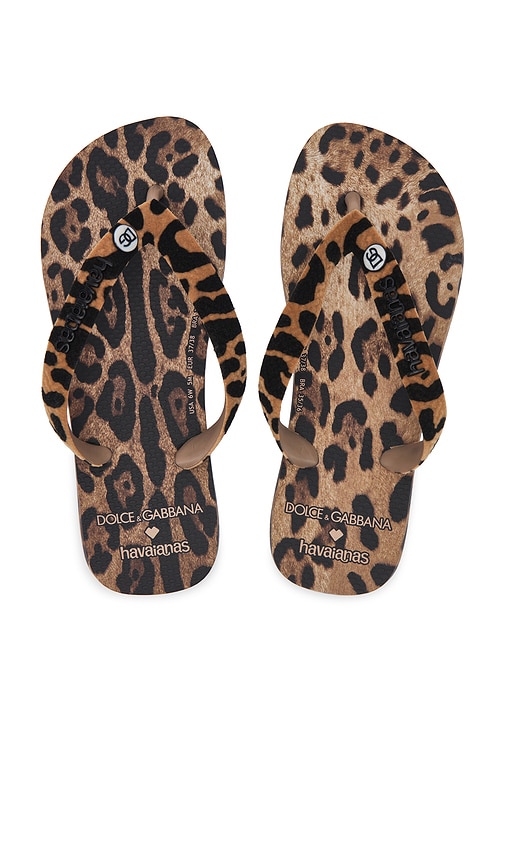 Havaianas X Dolce & Gabbana Leopard Sandal in Rose Gold