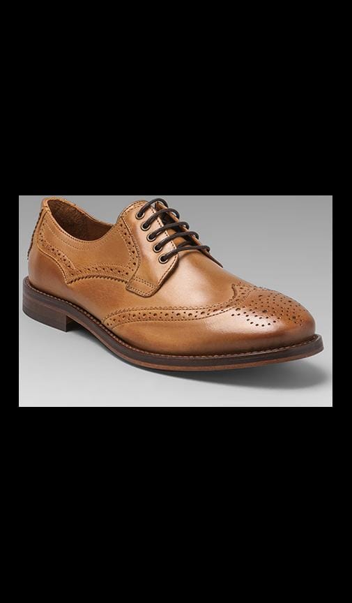 Haskin Lace Up Dress Shoe