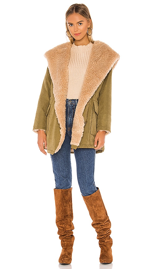 Shane Coat