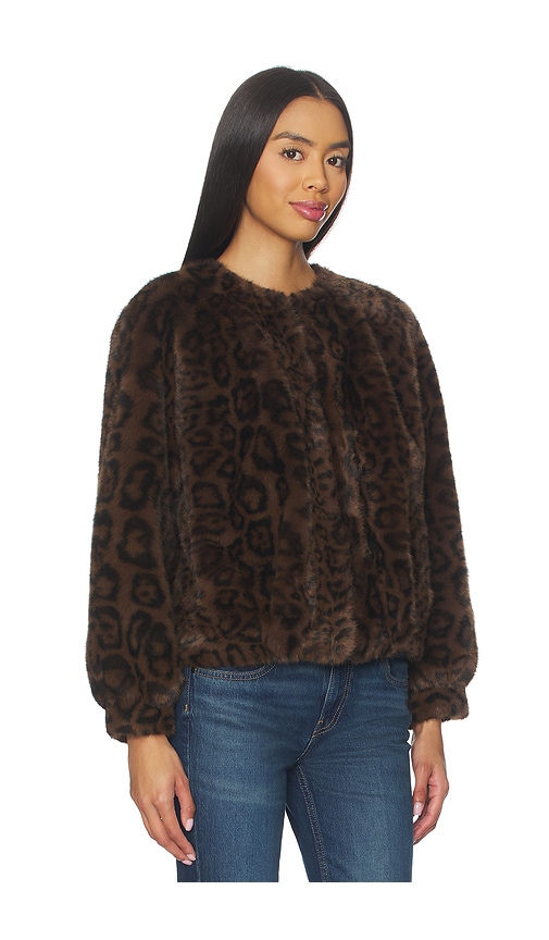 Heartloom Patty Coat In Brown