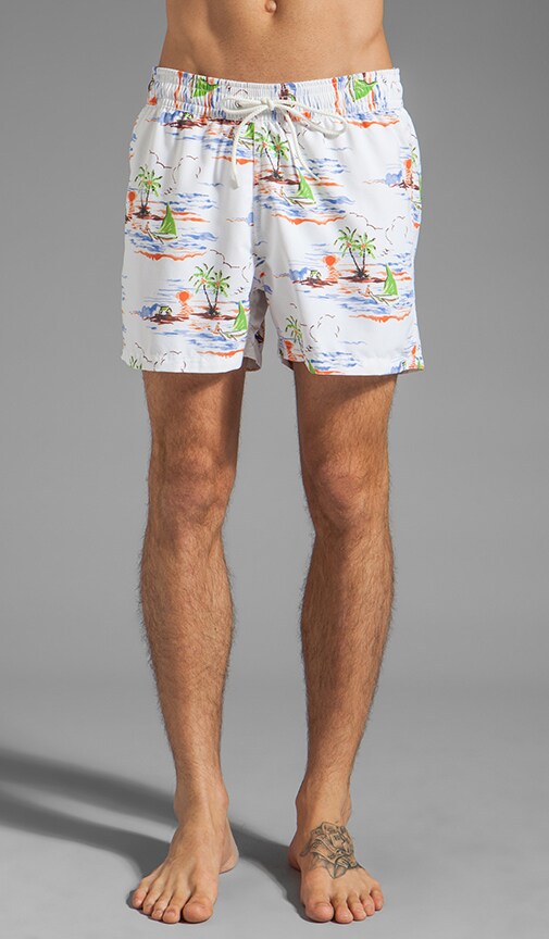 Swimmers