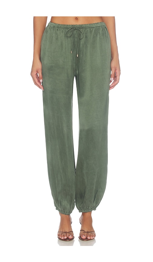 Hevron Halina Pants In Climbing Ivy