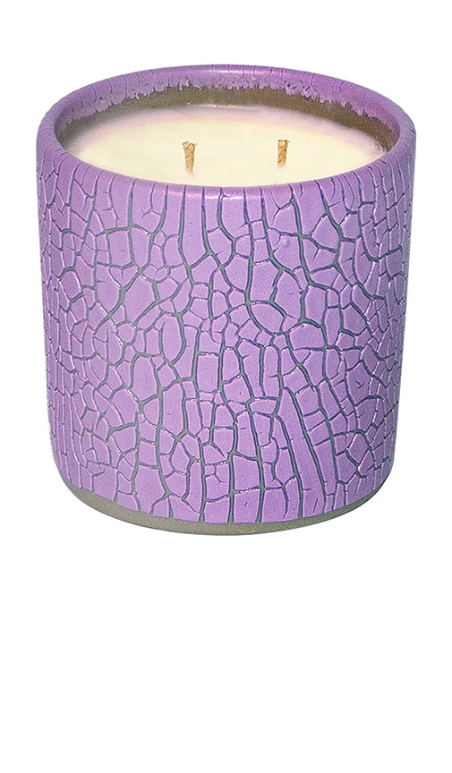 Shop Houseplant Crackle Candle In 紫色