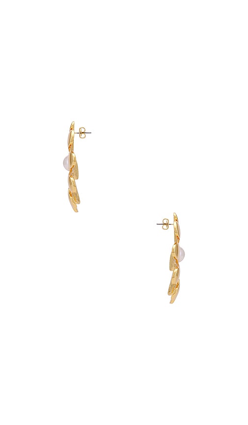 Shop Heaven Mayhem Floral Earrings In Metallic Gold