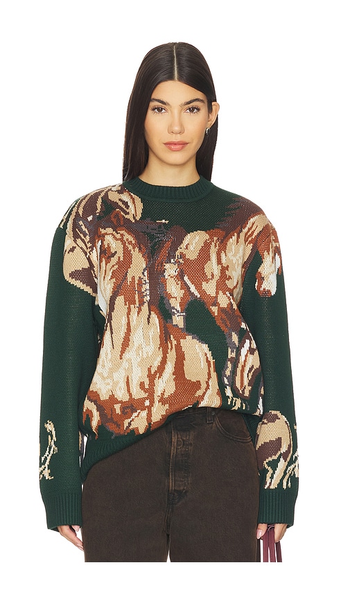 House Of Sunny Wild Horses Sweater In Green