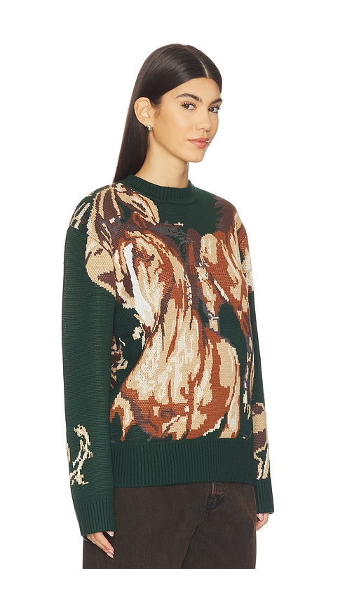 House Of Sunny Wild Horses Sweater In Green