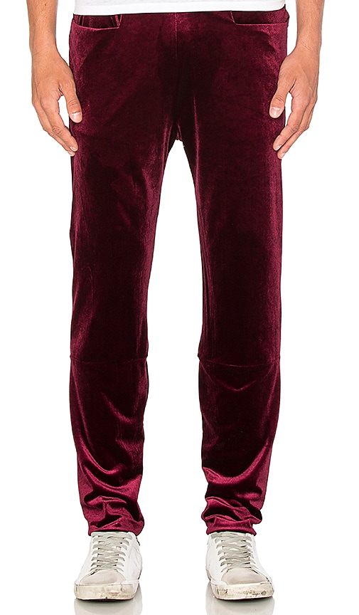 velvet training pants