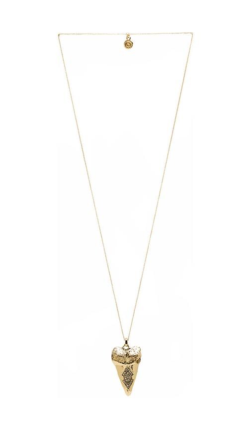 COLLAR COLGANTE DIENTES TRIBAL