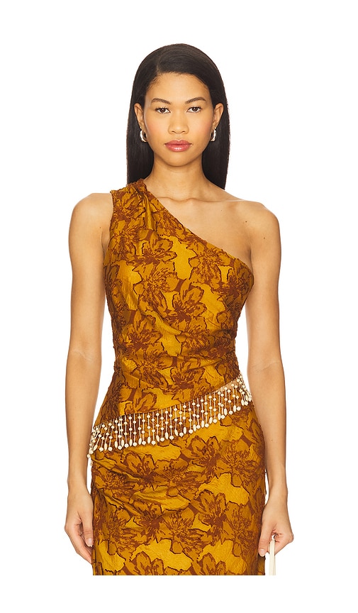 House Of Harlow 1960 X Revolve Gema Top In Brown