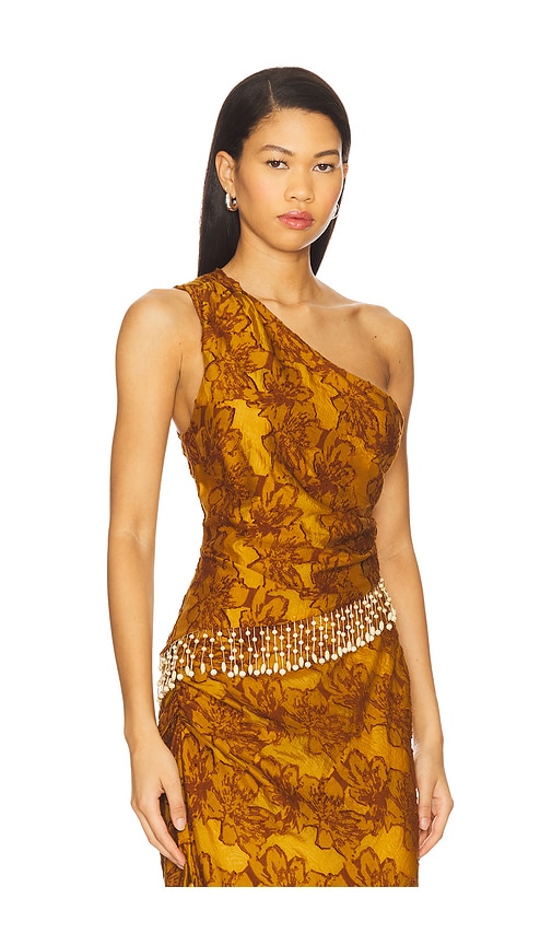 House Of Harlow 1960 X Revolve Gema Top In Brown