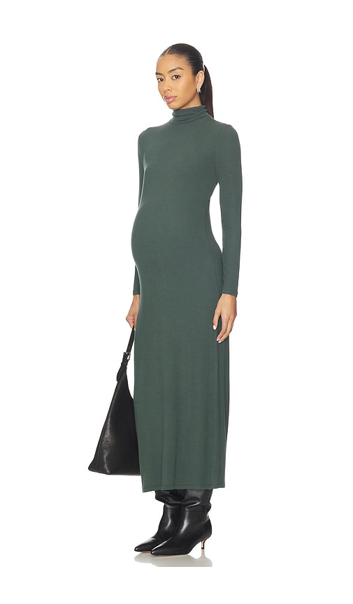 Hatch The Softest Rib Turtleneck Dress In Green