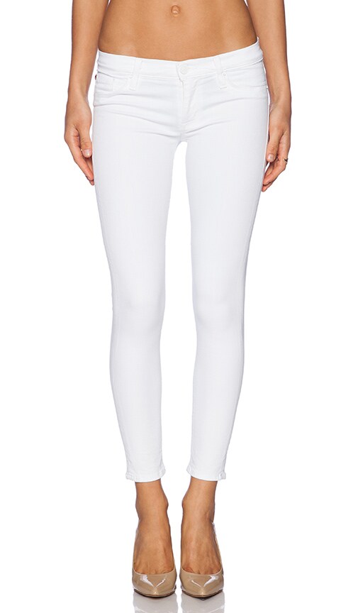 Krista Crop