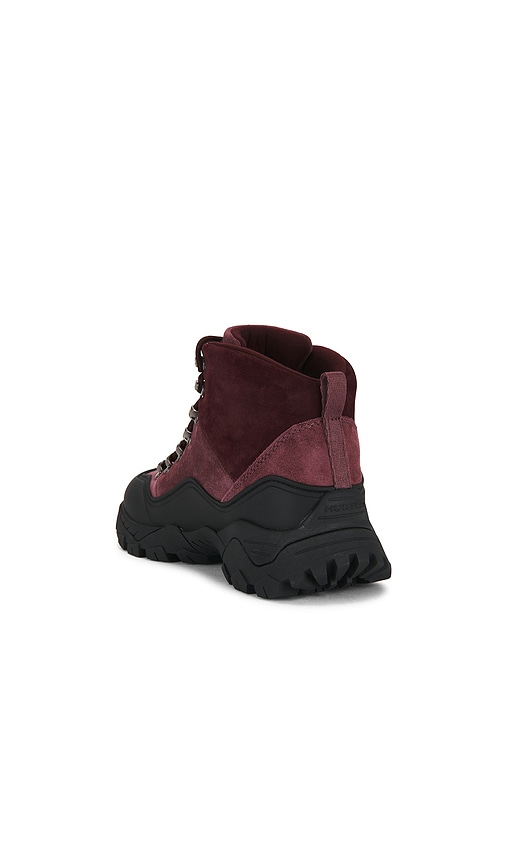  Hunter Boot Jasper In Wine. Größe 6. Also In 7, 8, 9. 