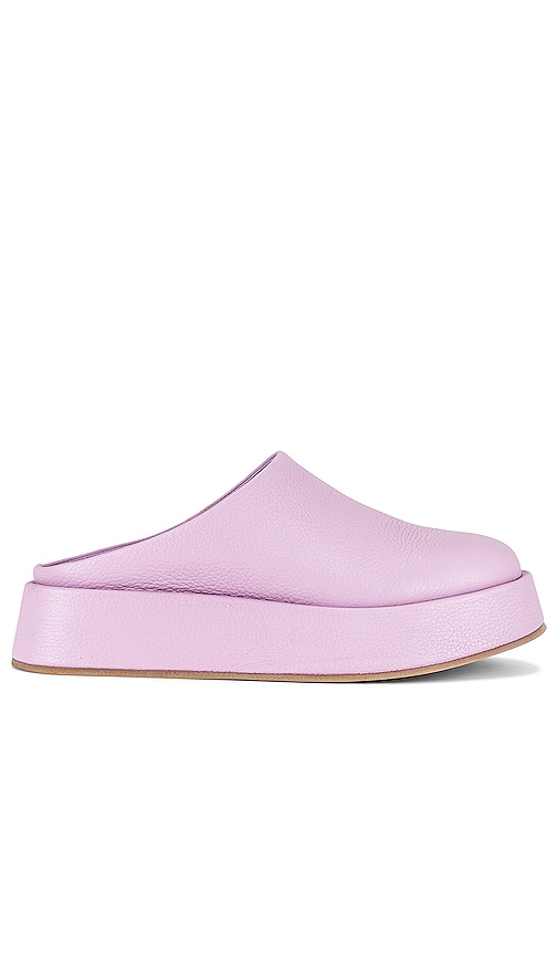 Intentionally Blank Risen Platform Mule Lilac