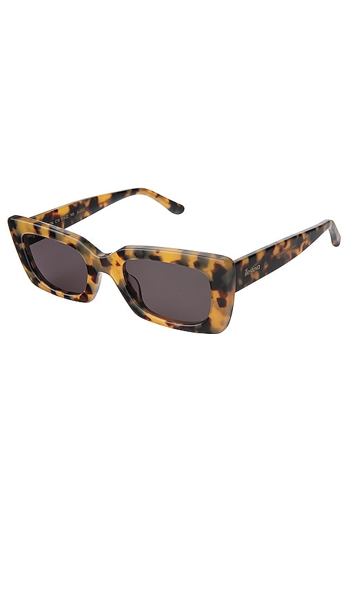 Shop Illesteva Wilson Sunglasses In Brown