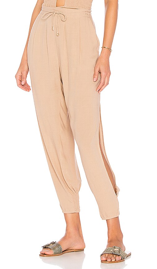 Alligator Side Slit Pant