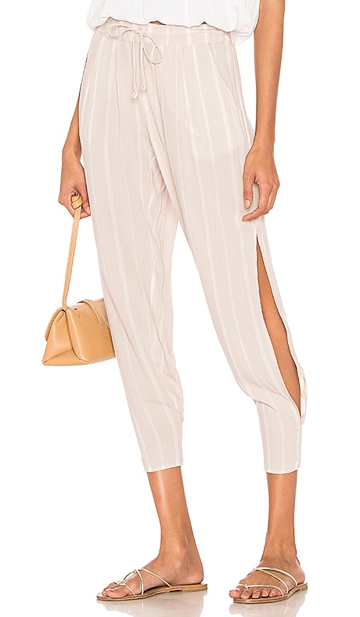 Alligator Side Slit Pant