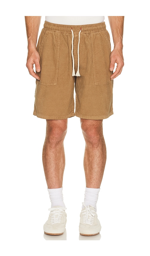 Iron & Resin Logan Shorts